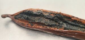 pulpa vainilla