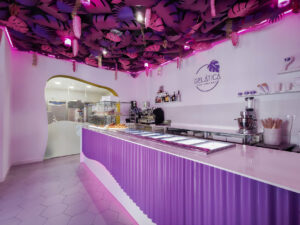 diseño gelatica