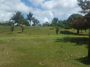 Manambato