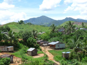 entorno madagascar