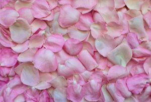 helado petalos rosa